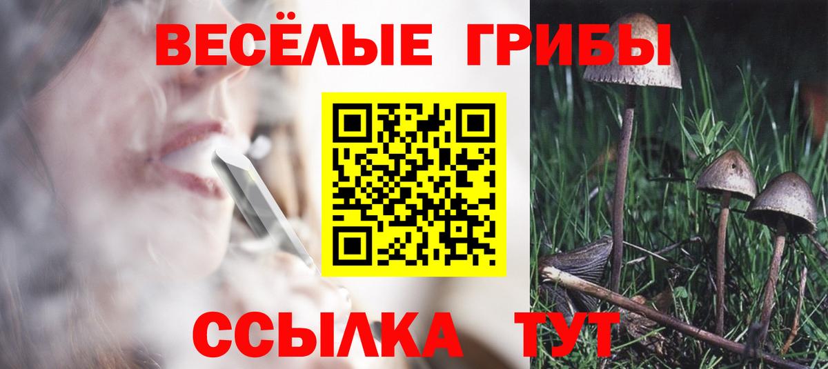 Североуральск  Галлюциногенные грибы Psilocybine cubensis  Вход с VPN 
